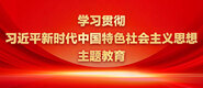 大鸡巴插逼舒服的要死免费观看视频学习贯彻习近平新时代中国特色社会主义思想主题教育_fororder_ad-371X160(2)